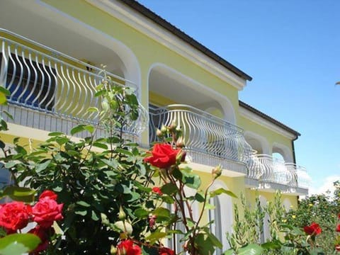 Garden, Balcony/Terrace