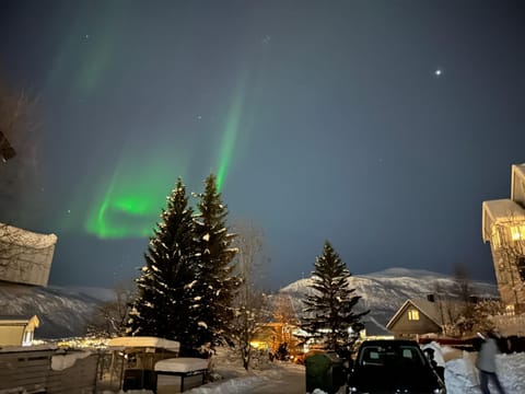 Natural landscape, Winter, Mountain view