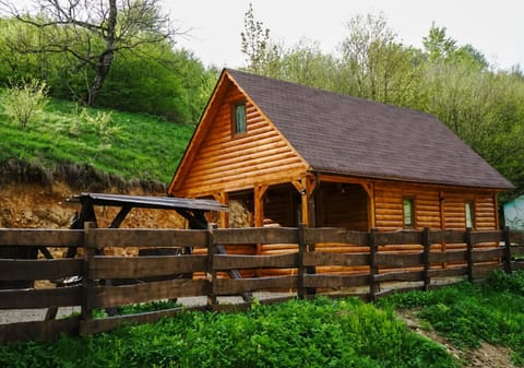 Property building, Day, Natural landscape