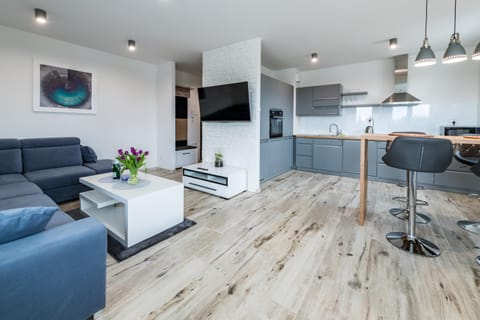 Holiday Apartment Apartment in Lithuania