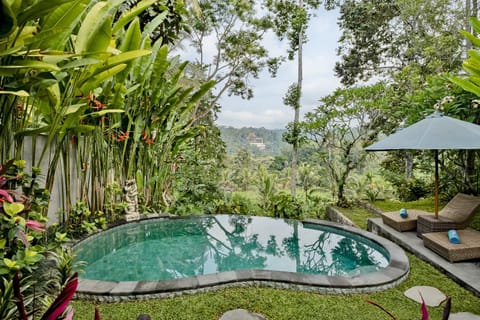 Pool view, sunbed