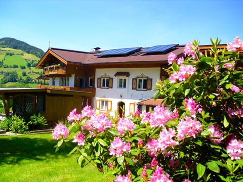 Facade/entrance, Garden