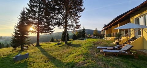 Property building, Garden, Sunset