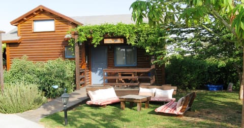 Property building, Garden, Garden view