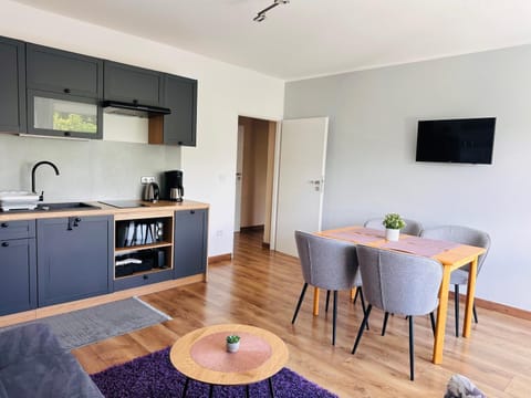 Kitchen or kitchenette, Dining area, stove