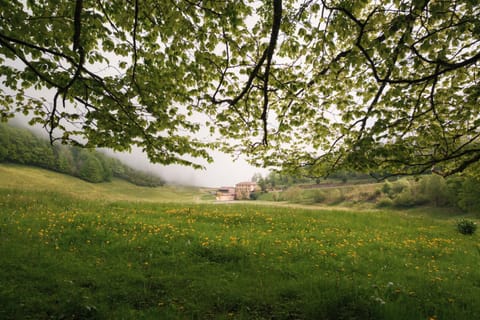 Spring, Day, Natural landscape, Garden