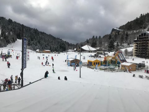 Winter, Skiing, View (from property/room), Mountain view