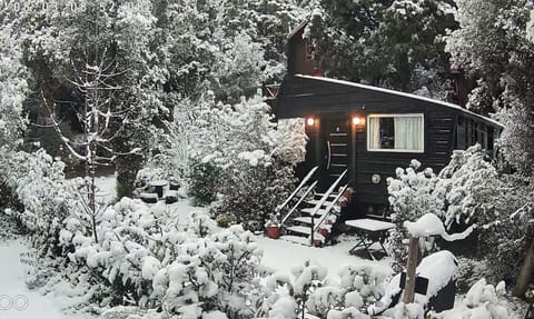 Property building, Natural landscape, Winter