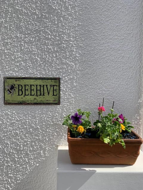 The Beehive - Self Contained Studio by The Sea Apartment in Exmouth