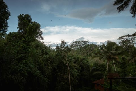 Massage, View (from property/room)