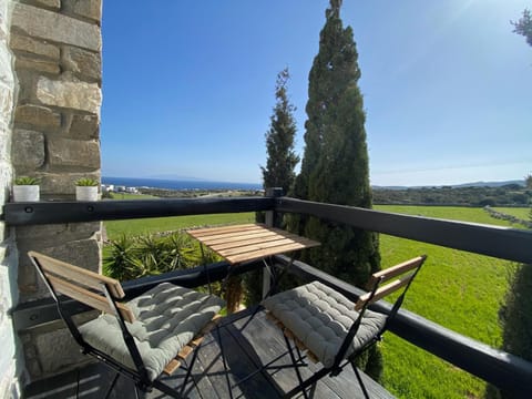 Patio, Natural landscape, View (from property/room), Balcony/Terrace
