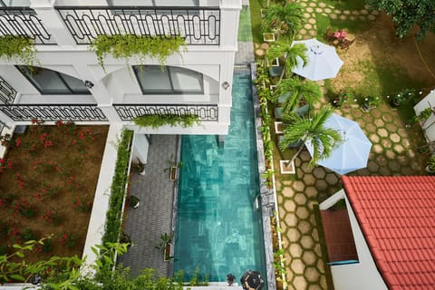 Patio, Day, Garden view, Swimming pool
