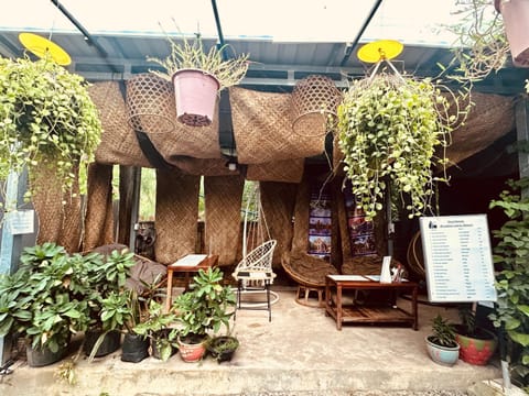 Property building, Garden, Garden view