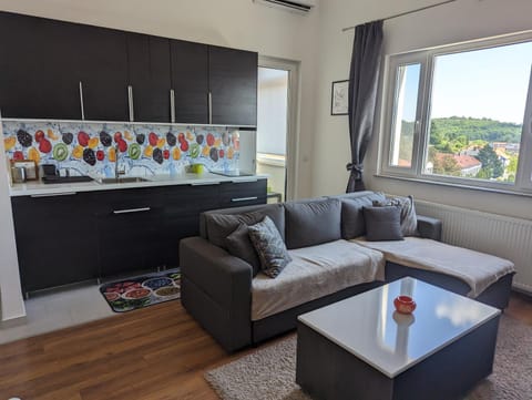 Apartman Lena Apartment in Serbia