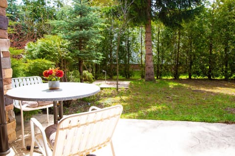 Apartment Gora Apartment in Zlatibor