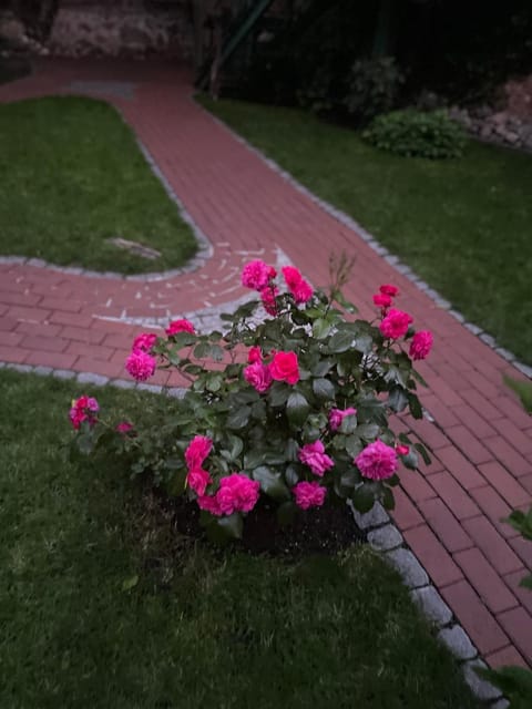 Unterkunft direkt an der Schelfkirche Apartment in Schwerin