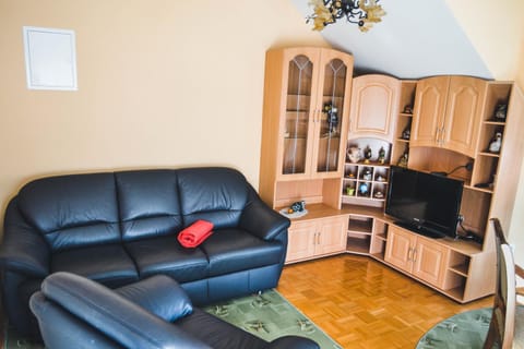 Apartmaji Krebs Apartment in Carinthia, Austria