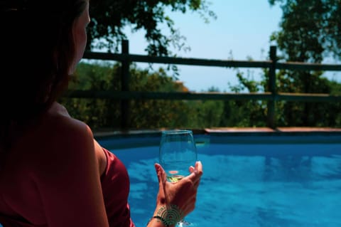 Day, Pool view, Swimming pool, Drinks