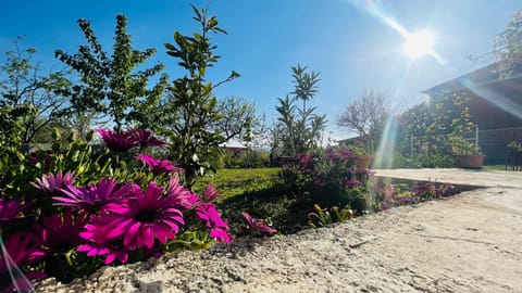 Garden, Garden