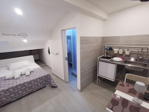 Alle Mansarde Apartment in Parma