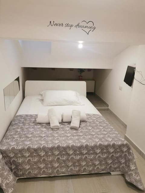 Alle Mansarde Apartment in Parma