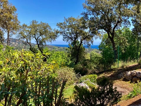 Les Restanques Glycines 2067 Apartment in Grimaud