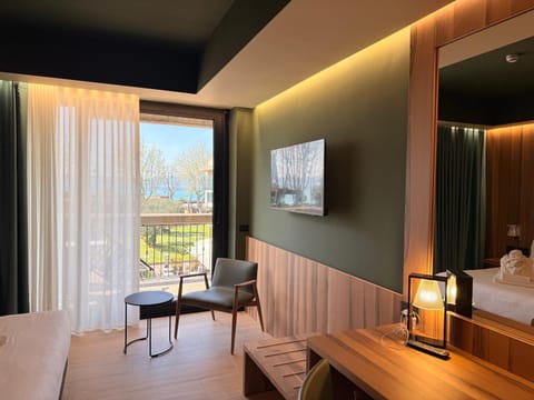 Bed, TV and multimedia, Living room, Photo of the whole room, Seating area, Evening entertainment, Bedroom