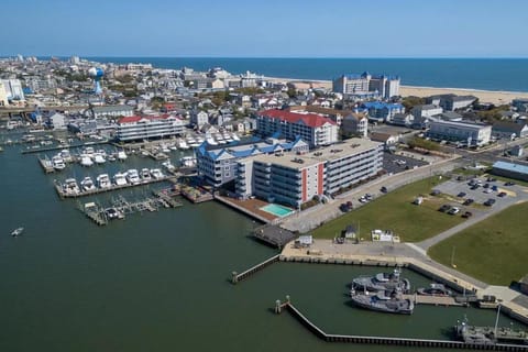 Assateague House 205 Apartment in Ocean City