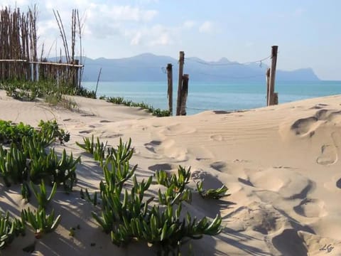 Nearby landmark, Beach