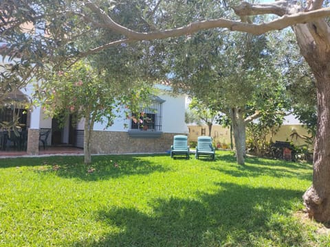 BBQ facilities, Garden, Garden view, sunbed