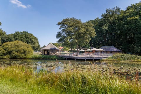Property building, Patio, River view