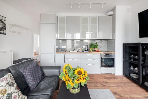 Kitchen or kitchenette, Living room, Seating area