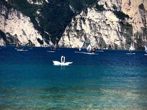Infinite Blue Apartment in Riva del Garda