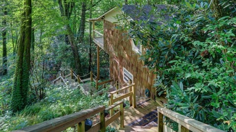 Mountain Laurel Tree House House in Highlands