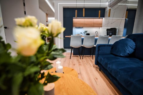 Kitchen or kitchenette, Living room, Seating area, kitchen