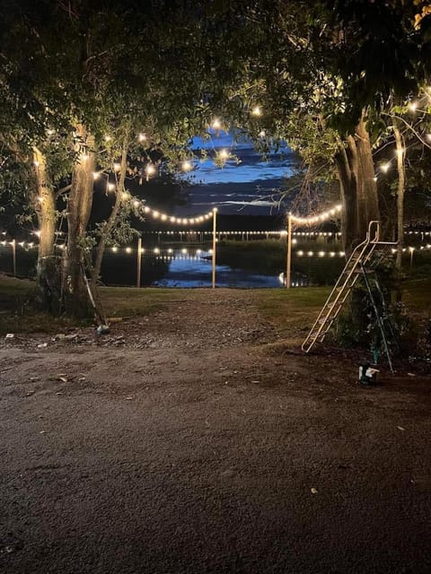 Night, Natural landscape