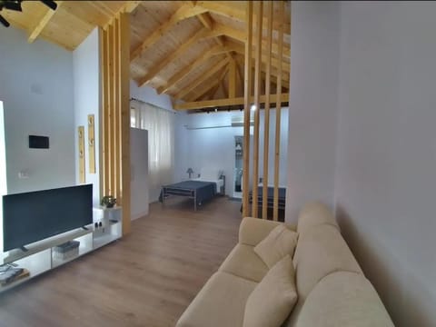 TV and multimedia, Living room, Photo of the whole room, Seating area, air conditioner