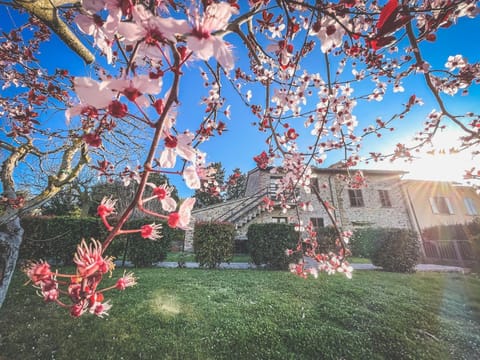 Property building, Spring