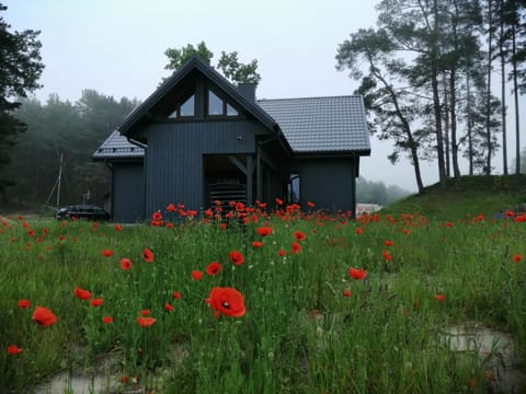 Property building, Day, Natural landscape, Garden, Garden view