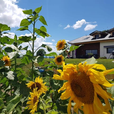 Property building, Garden