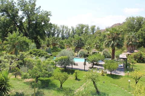 Garden view