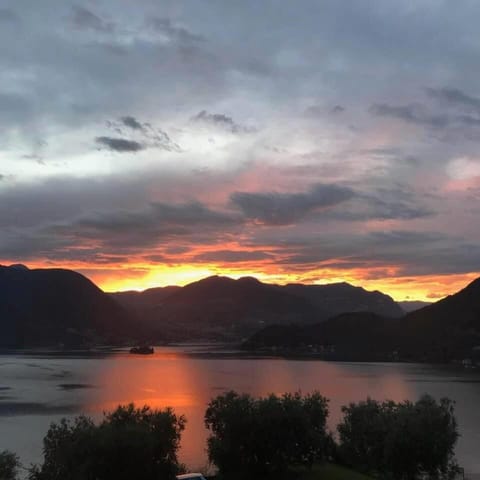 Lake Iseo - Gli ulivi 1 Apartment in Sulzano