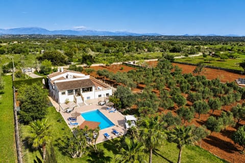 Bird's eye view, Swimming pool