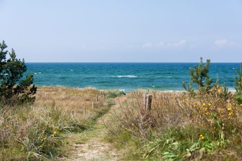 Strandhaus Wustrow - Wohnung 2 Apartment in Wustrow