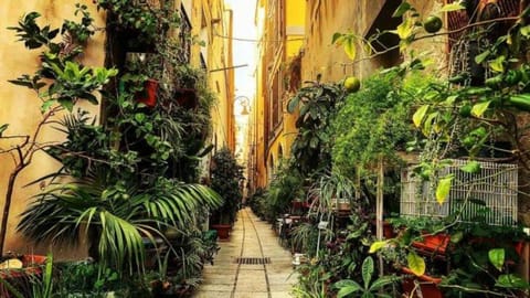 Quiet street view