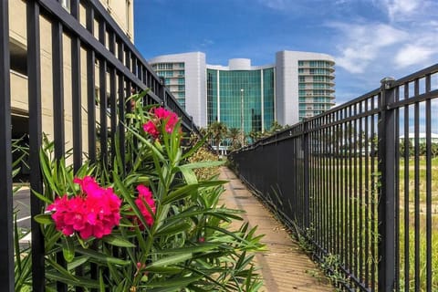 Bella Luna 1009 - Luxury Bayfront 3bd/3ba Apartment in Ono Island