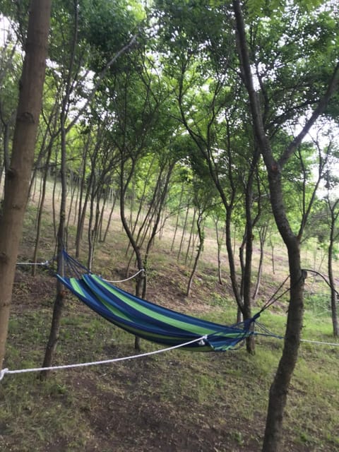 Velin raj House in Serbia