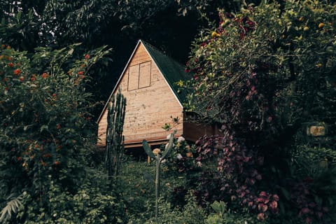 Landmark view