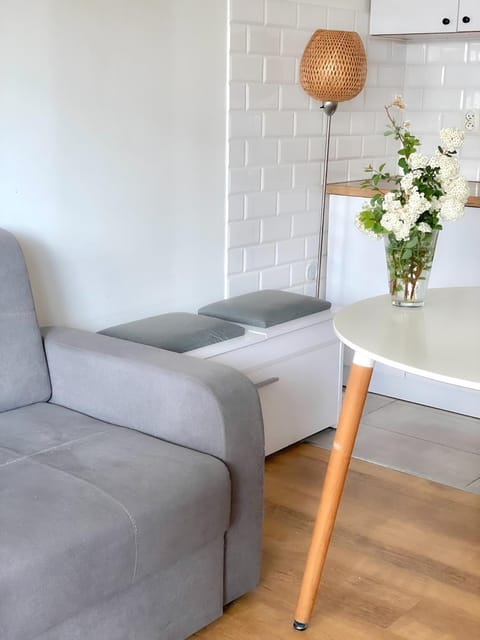 Apartament na Kacku Apartment in Pomeranian Voivodeship