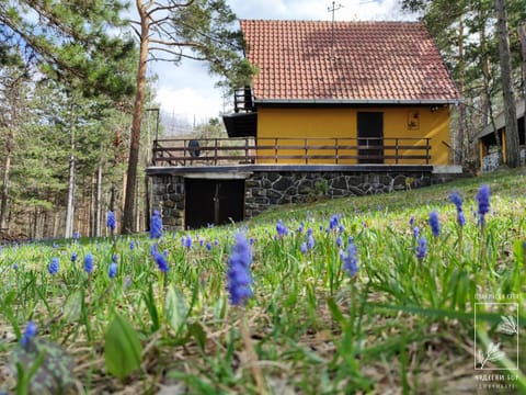 Property building, Spring, Neighbourhood, Garden view